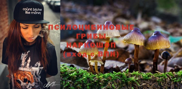 тгк Наволоки