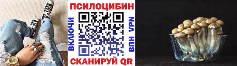 Галлюциногенные грибы Psilocybe  Адыгейск 